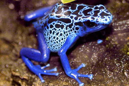 image009.jpg